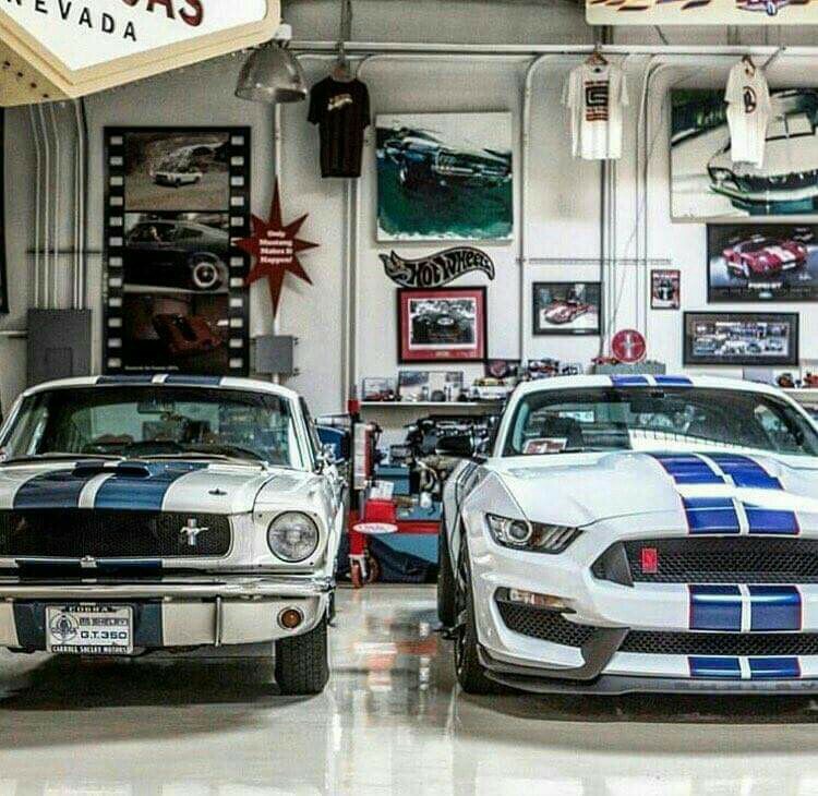 PHOTO MUSTANGS BLANCHES RAYURES BLEUES 1965 2015.jpg